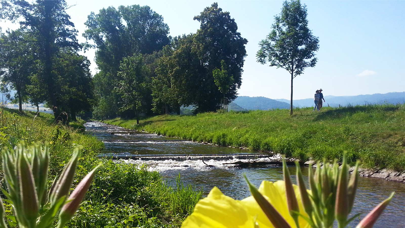 Blick auf Bad Krozingen